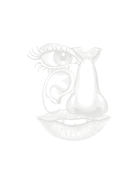 Sujet: Illustration - Riesling Kabinett Deidesheimer Mäushöhle - restsüß 2017 aus der Sinnlinie Eigensinn von Weingut Reinhardt Online bestellen