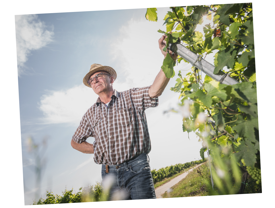 Stefan Reinhardt-Weingut Reinhardt-
